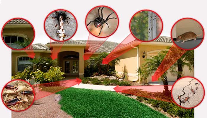VECTOR FUMIGACIONES - Fumigaciones residenciales