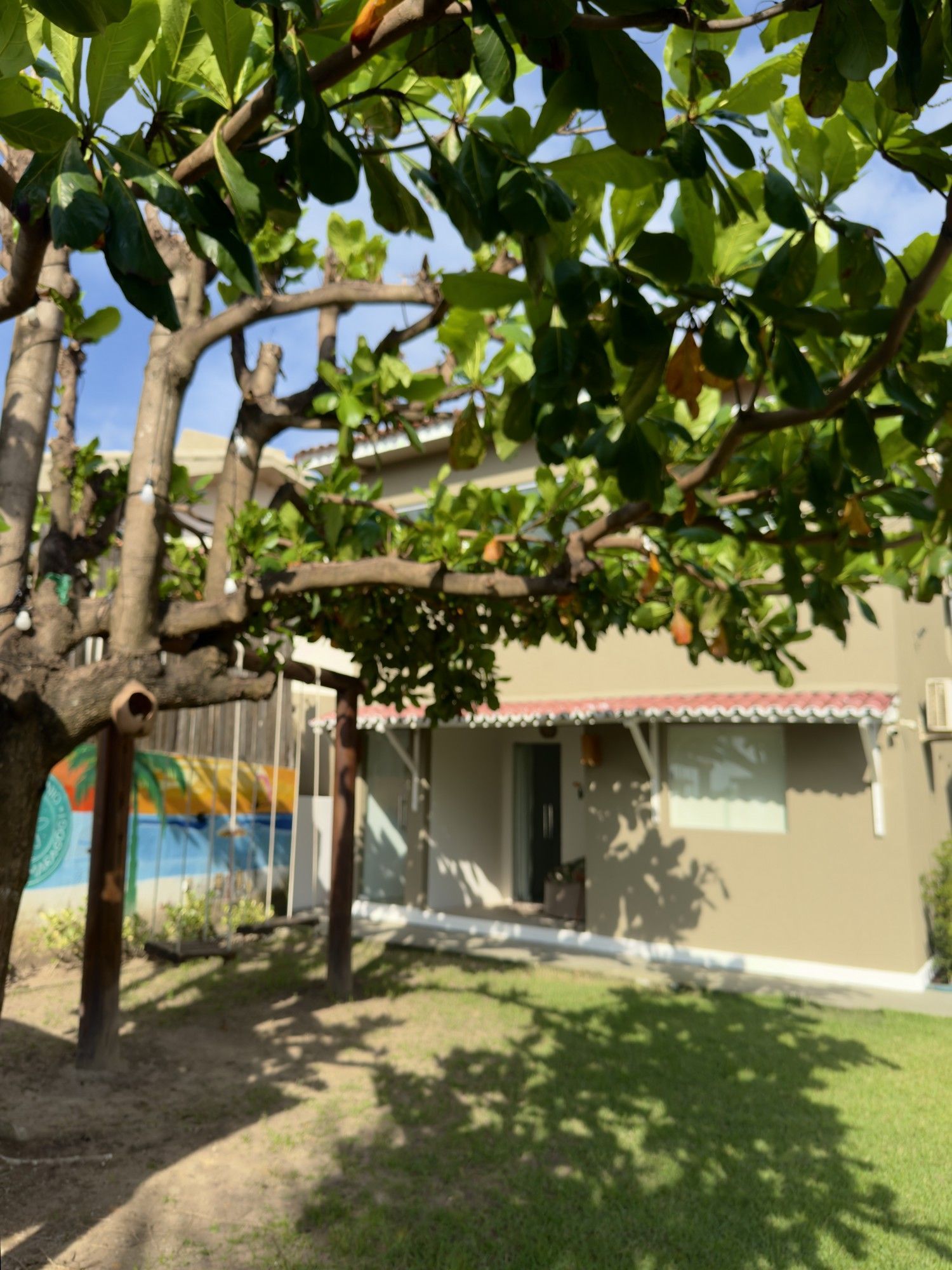 Uma grande árvore frondosa oferece sombra a um balanço em frente a uma casa bege de dois andares, com uma pequena varanda coberta e um gramado.