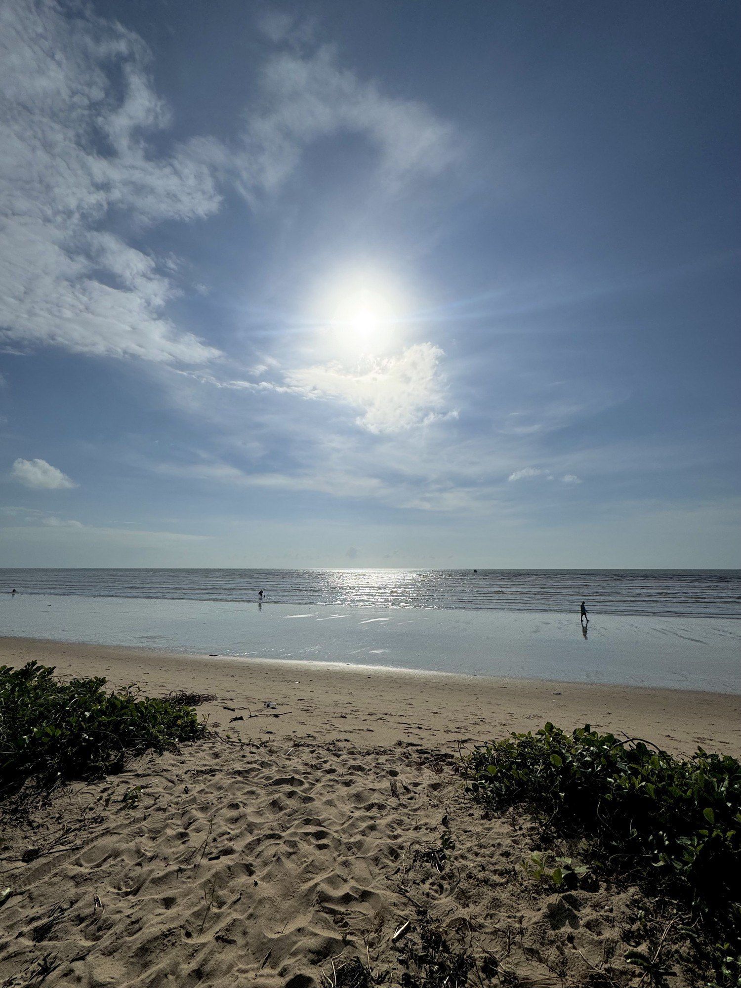Um sol brilhante ilumina uma praia oceânica tranquila, com areias e vegetação costeira verdejante em primeiro plano.