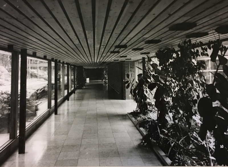 A black-and-white view down a hallway with a slatted wood ceiling, a tile floor, large windows, and a indoor garden bed.
