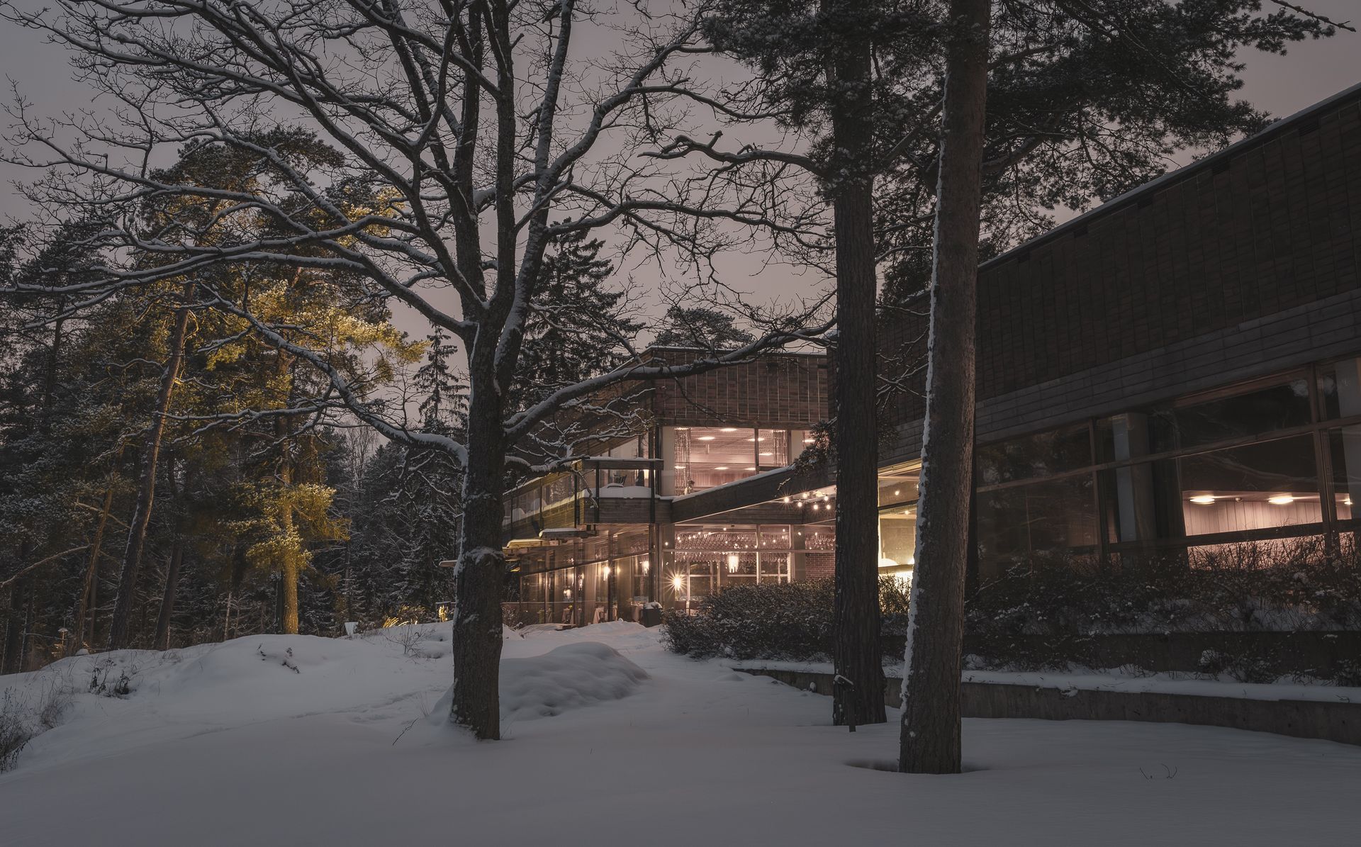 A modern building with large, glowing windows set in a snowy, wooded landscape during twilight.
