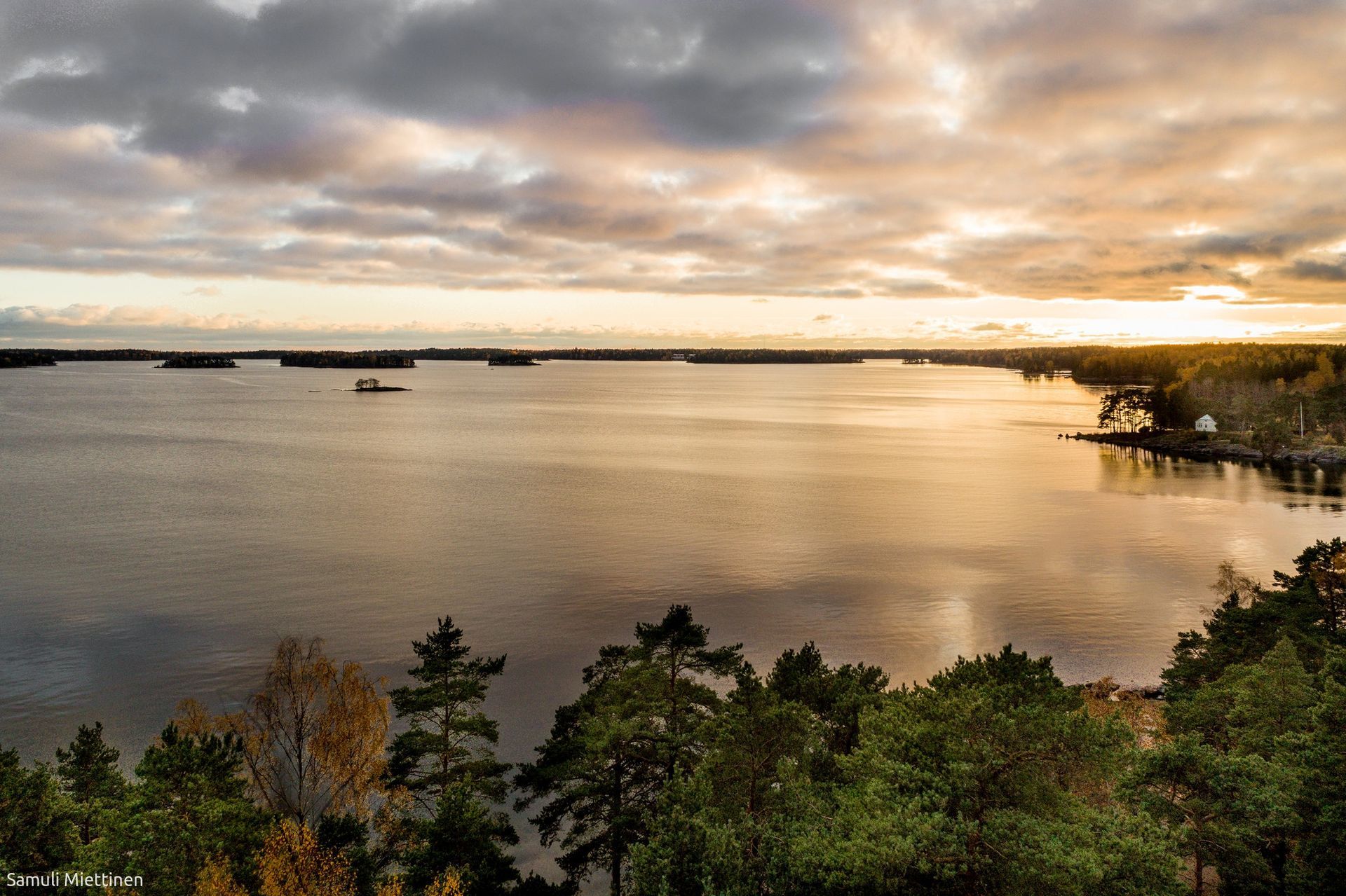 A calm lake reflects a golden sunset under a cloudy sky, framed by evergreen trees in the foreground.
