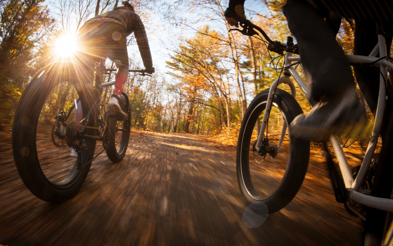 Two people ride fat-tire bikes down a sunlit forest trail in autumn.