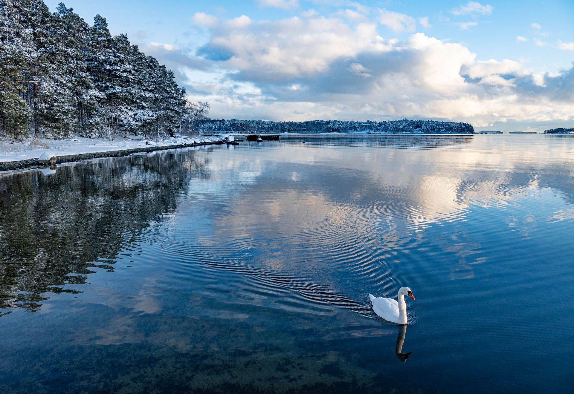 Hämärästi valaistu, porrastettu luentosali, jossa on rivit tyhjiä, tummia tuoleja puista puhujakoroketta ja pulpettialuetta vastapäätä.