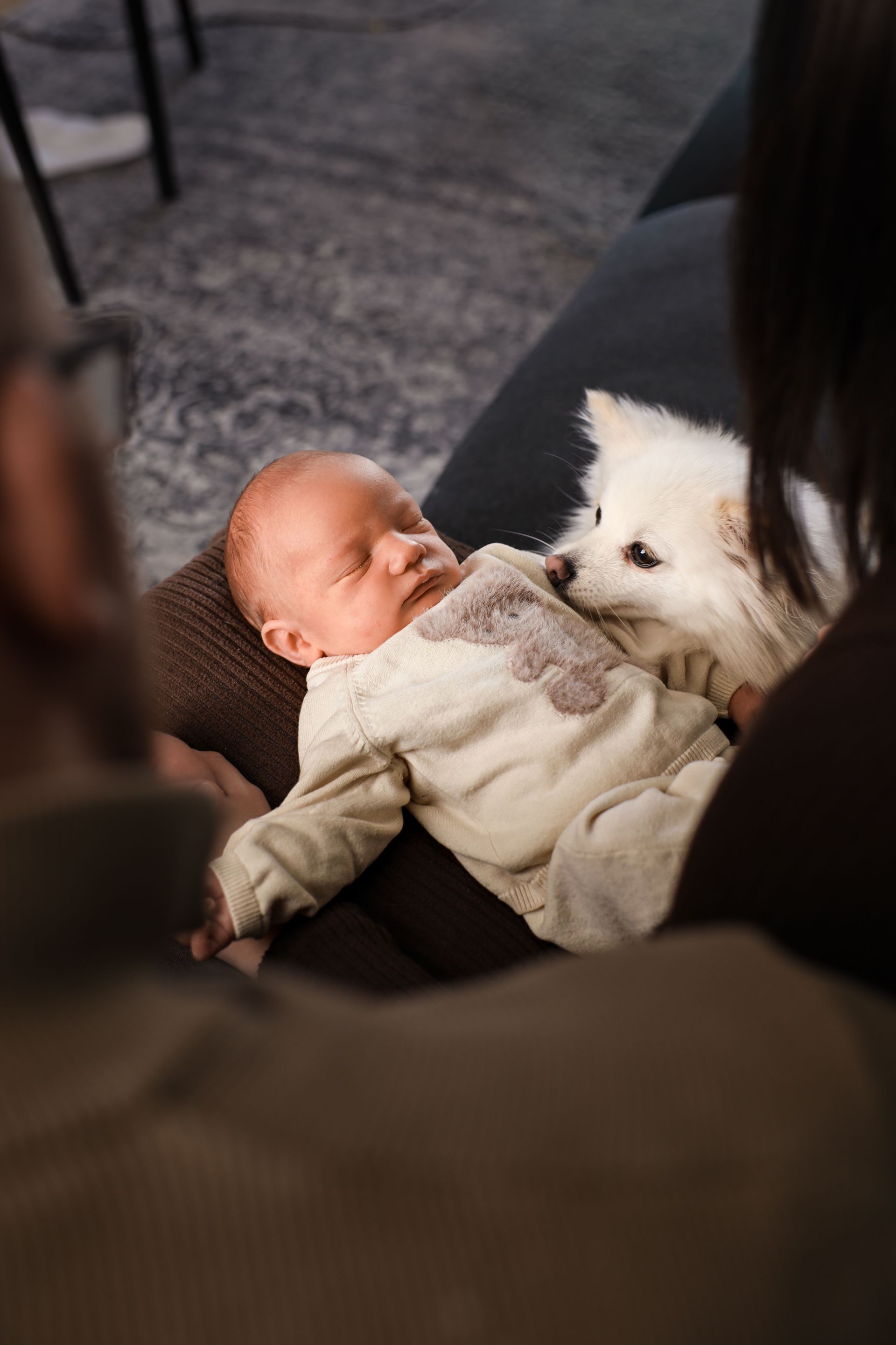 Een baby in een beige outfit ligt op een bank naast een klein wit hondje. Newborn fotoshoot met huisdier.