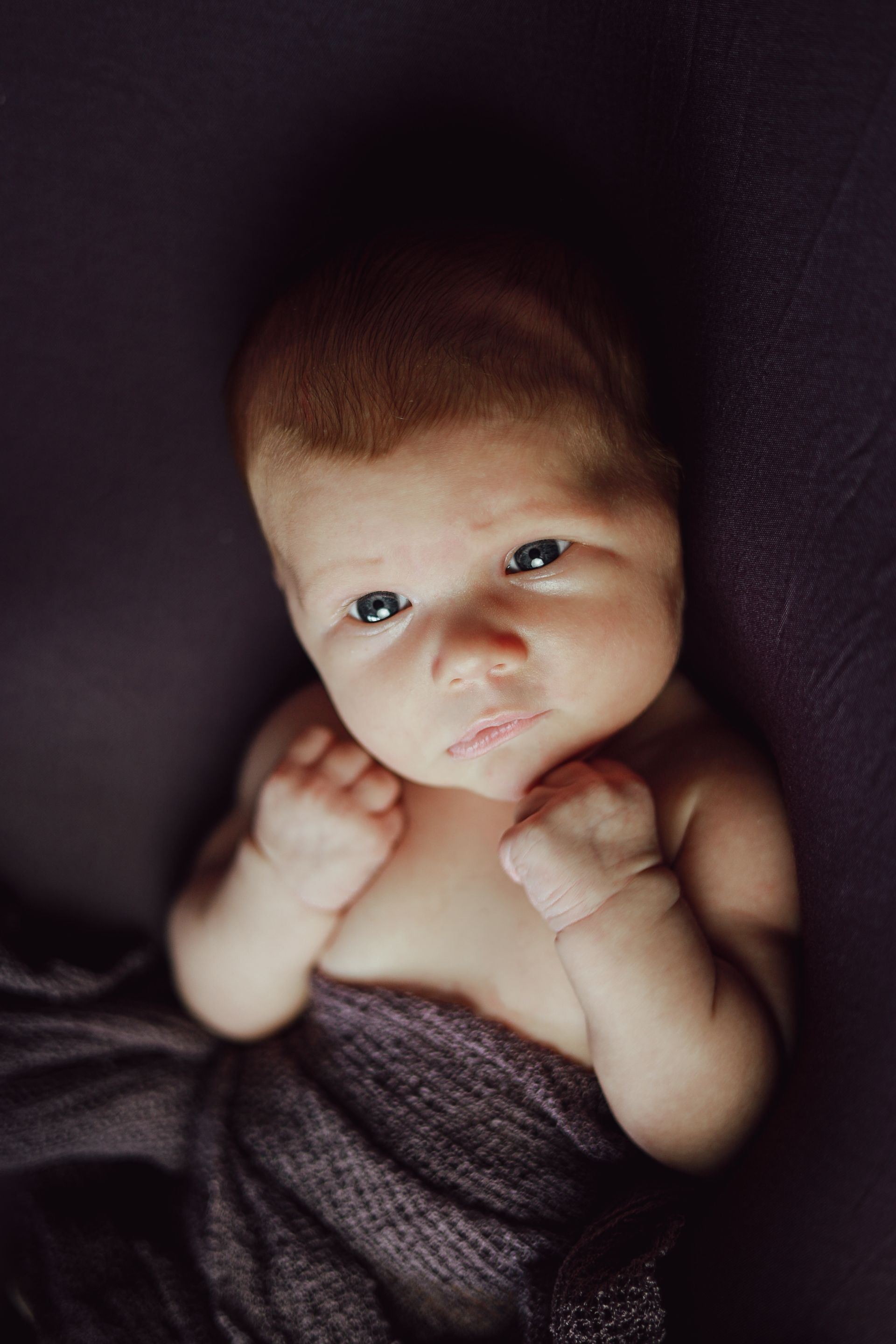 Een pasgeboren baby, gewikkeld in een donkere deken. Newborn fotoshoot met doeken. Newborn fotoshoot geposeerd. 