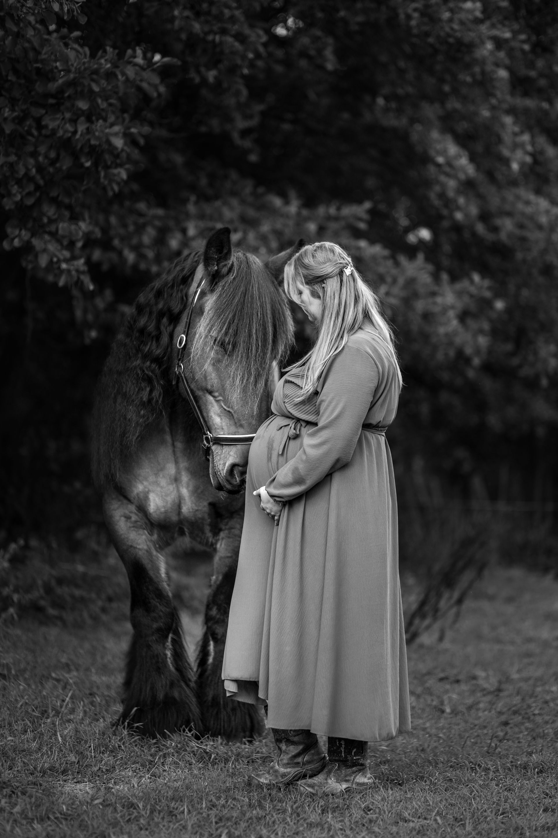 Een persoon in een lange jurk staat naast een paard in een grasveld; ze kijken elkaar aan. Zwangerschapsshoot.