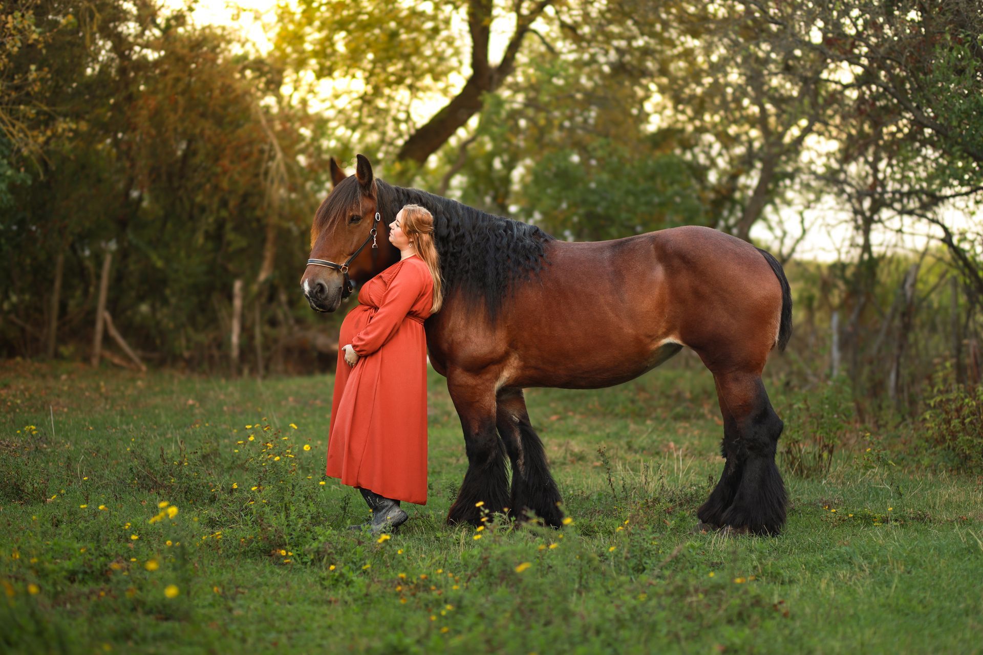 Een persoon in een rode jurk staat naast een bruin paard in een grasveld bij zonsondergang. Zwangerschap fotograaf.