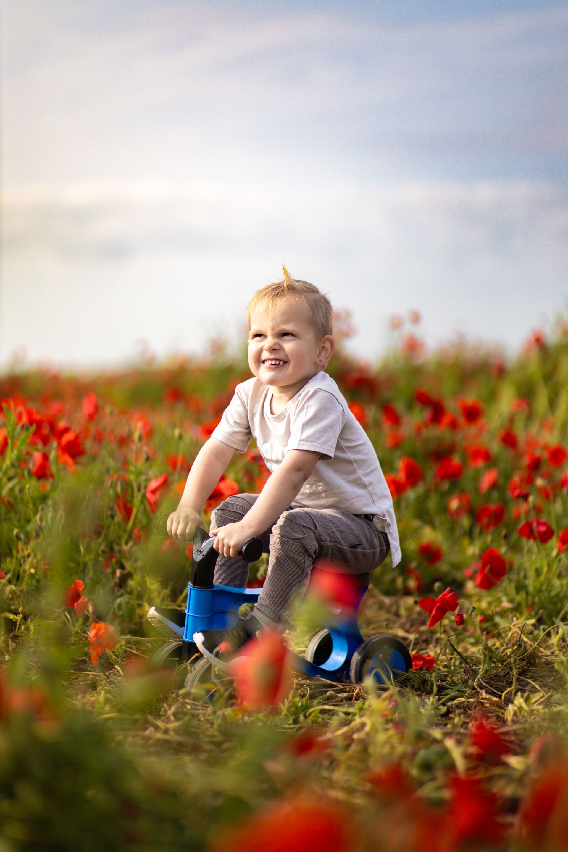Een lachend kind rijdt op een blauw speelgoedvoertuig in een veld met rode bloemen onder een bewolkte hemel. 