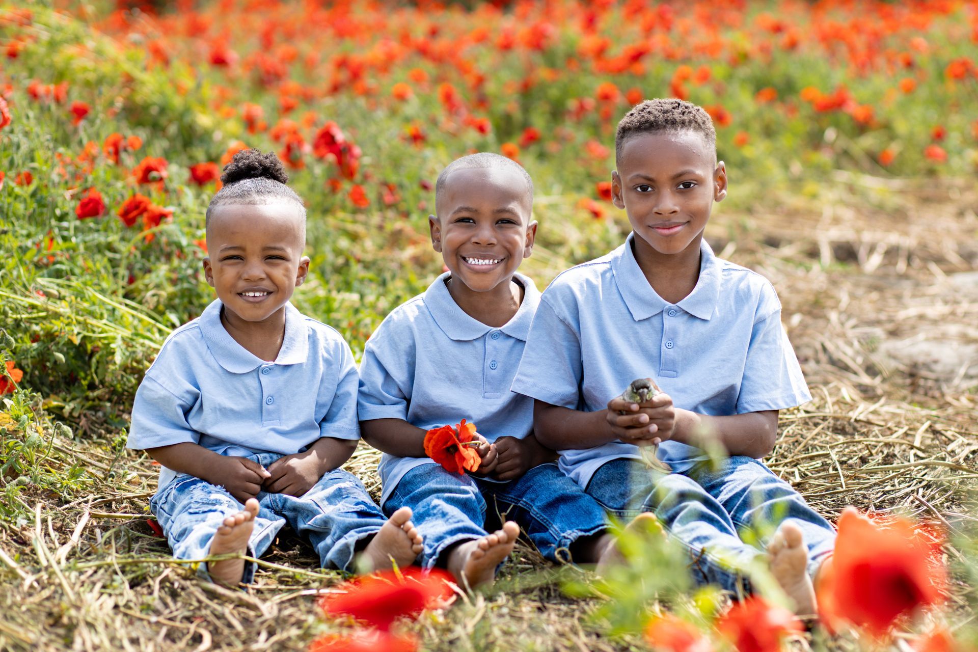Drie kinderen in blauwe uniformen zitten in een bloemenveld, lachend en met rode bloemen in hun handen. Familiefotograaf.