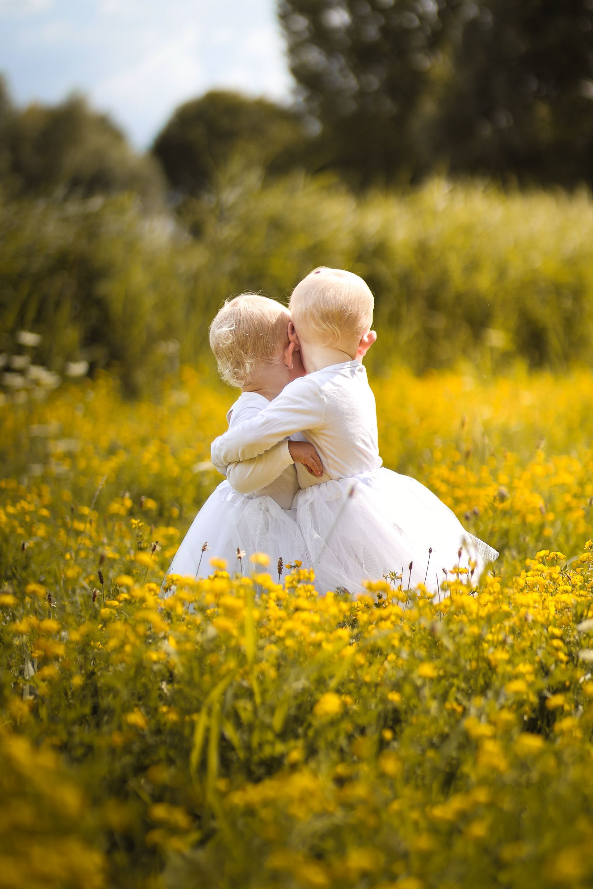 Twee kleine kinderen in witte jurkjes omhelzen elkaar in een veld met gele bloemen. Kinderfotografie. Goedkope foto's.