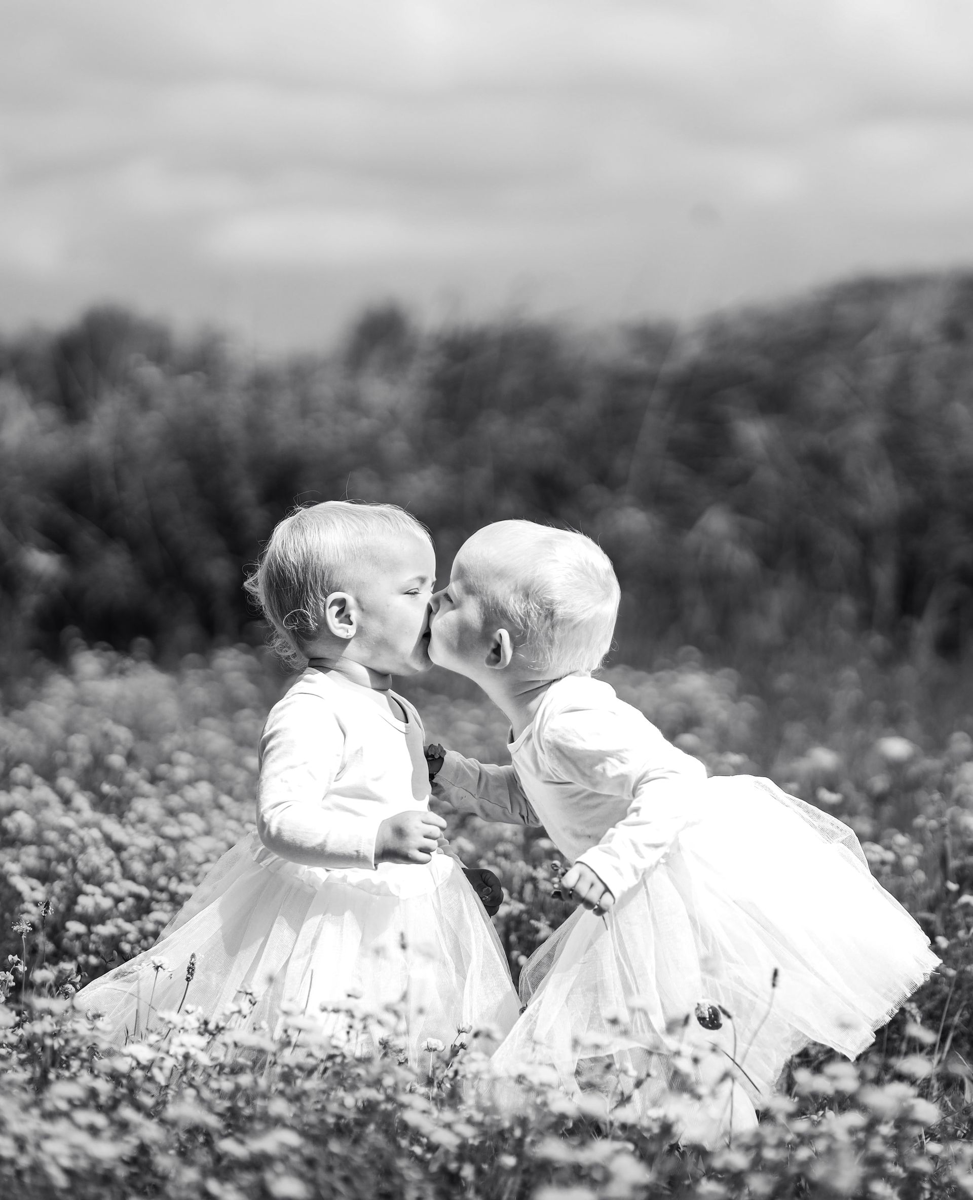 Twee peuters in witte jurkjes geven elkaar een kus in een bloemenveld met bomen op de achtergrond. Fotoshoot met kinderen.