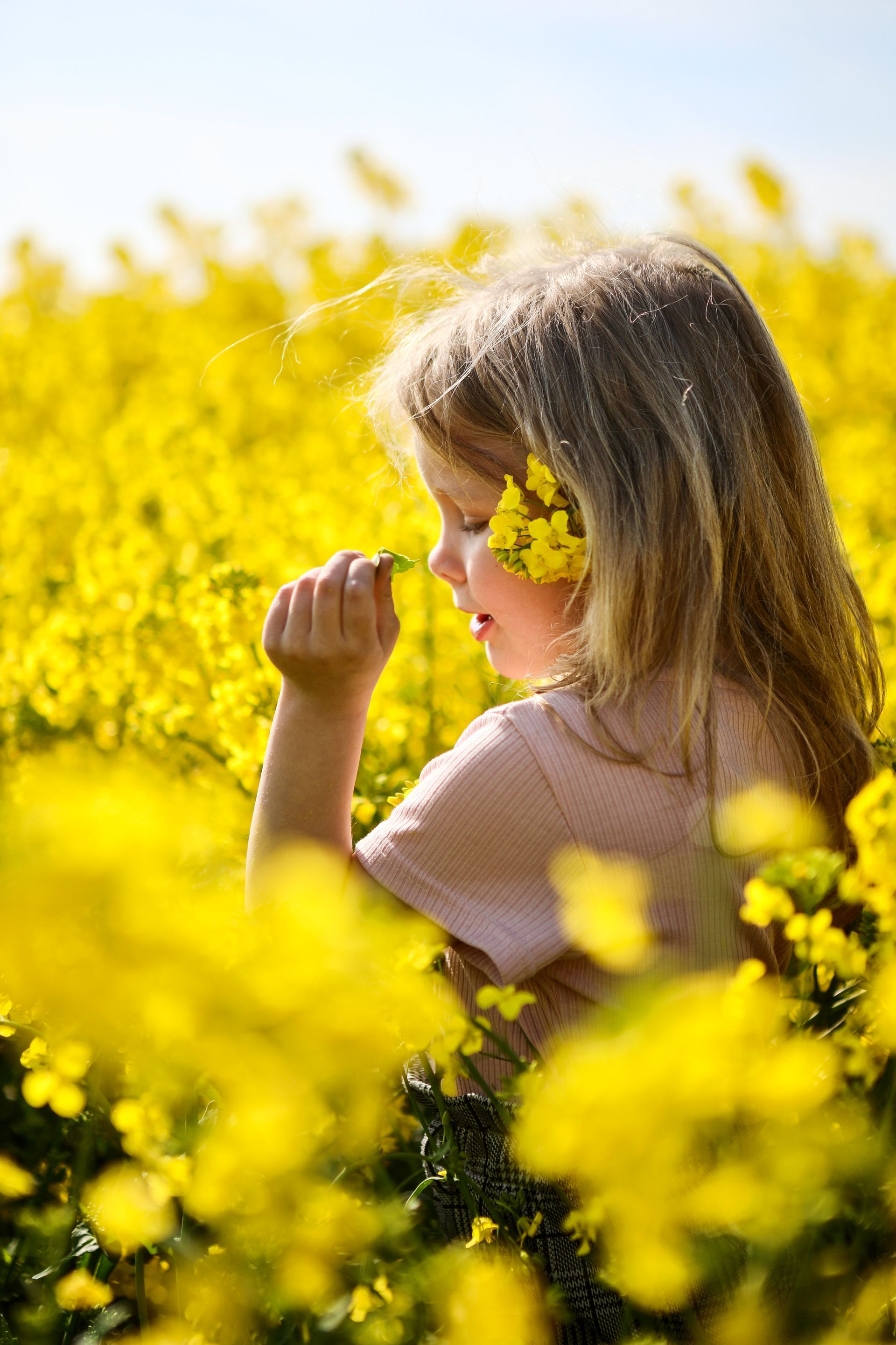 Een persoon staat in een veld met felgele bloemen en houdt een bloem dicht bij zijn gezicht. Familiefotograaf. Gezinsfoto's.
