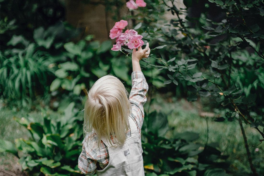 A Child Picking a Flower - Autism + Support A Child Picking a Flower - Autism + Support