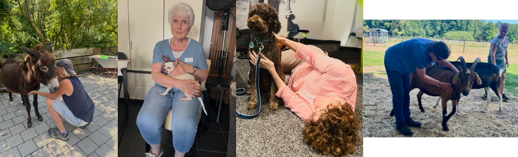 2026 Jin Shin Jyutsu Classes in the Netherlands & Switzerland: JSJ students giving harmonizing and healing energy to dogs, goats, and a donkey.