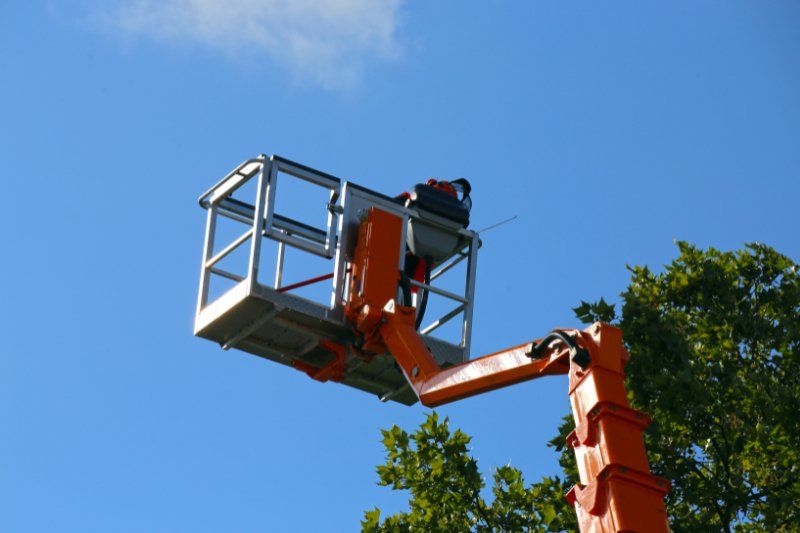 Tree lopping in Joondalup using cherry picker
