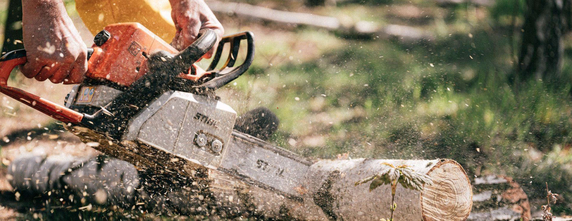 Professional Arborist providing Tree Services to Perth Rural Property