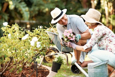 Two Happy Seniors Gardening — Glenview, IL — Partners In Healthcare Two Happy Seniors Gardening — Glenview, IL — Partners In Healthcare