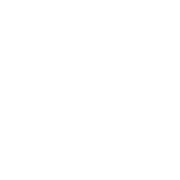 A white background with a few lines on it