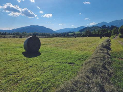 Ein großer Heuballen liegt mitten auf einer Wiese.