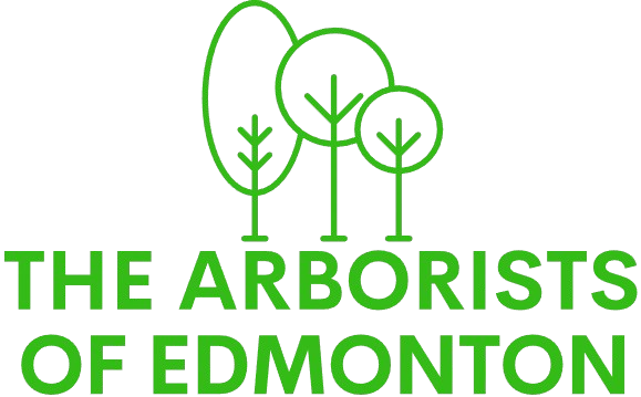 Vancouver Arborists logo