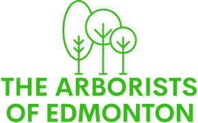 Vancouver Arborists logo