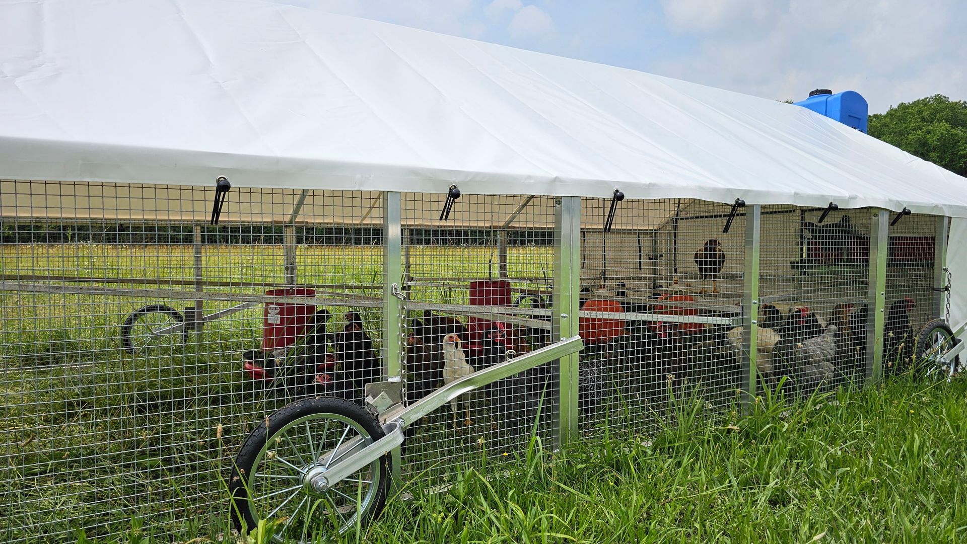 Chicken Tractors Poultry House Supply River Valley Sheds Dardanelle AR