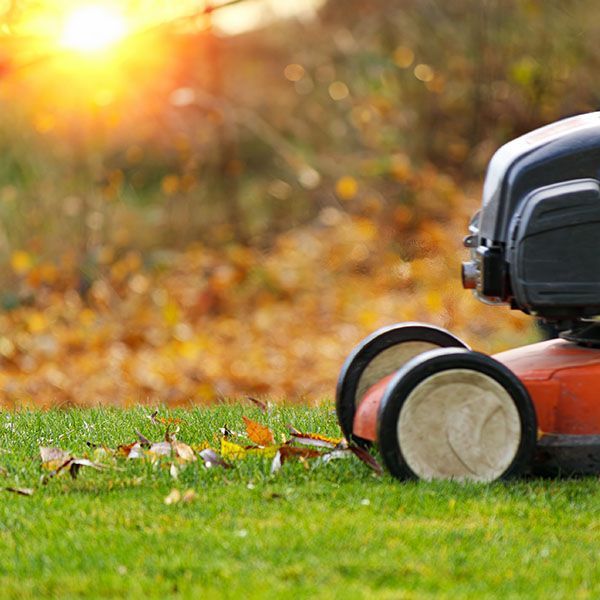 Orange lawn mower on green grass at sunset, with blurred autumn leaves in the background