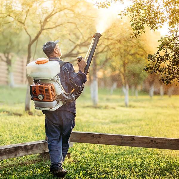 Worker using a backpack leaf blower in a sunny orchard or park