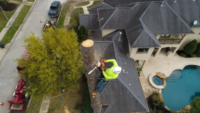 Aerial view of a worker on a roof trimming a tall tree beside a house and backyard pool.