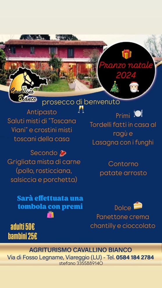 pranzo di natale cavallino bianco