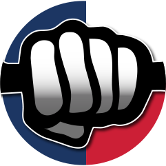 ProMobile Inspections- Texas used vehicle pre-purchase inspections