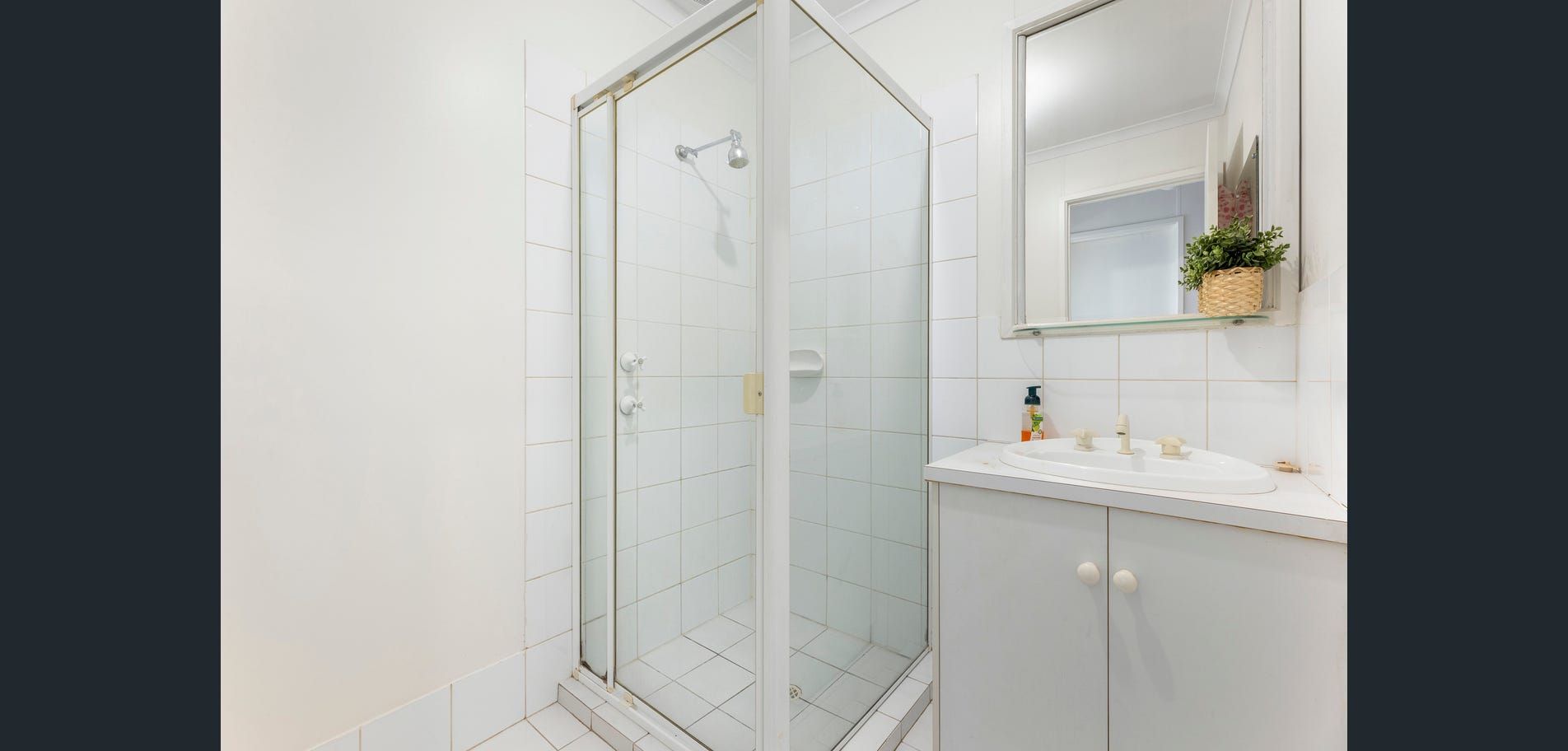 Bright white bathroom with glass shower, vanity, mirror, and small plant decor