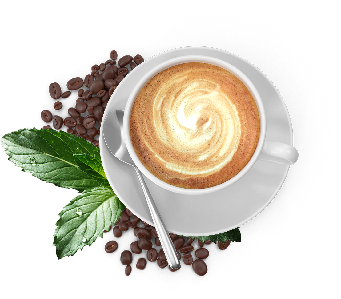 coffee roasters in miami