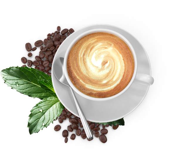 coffee roasters in miami