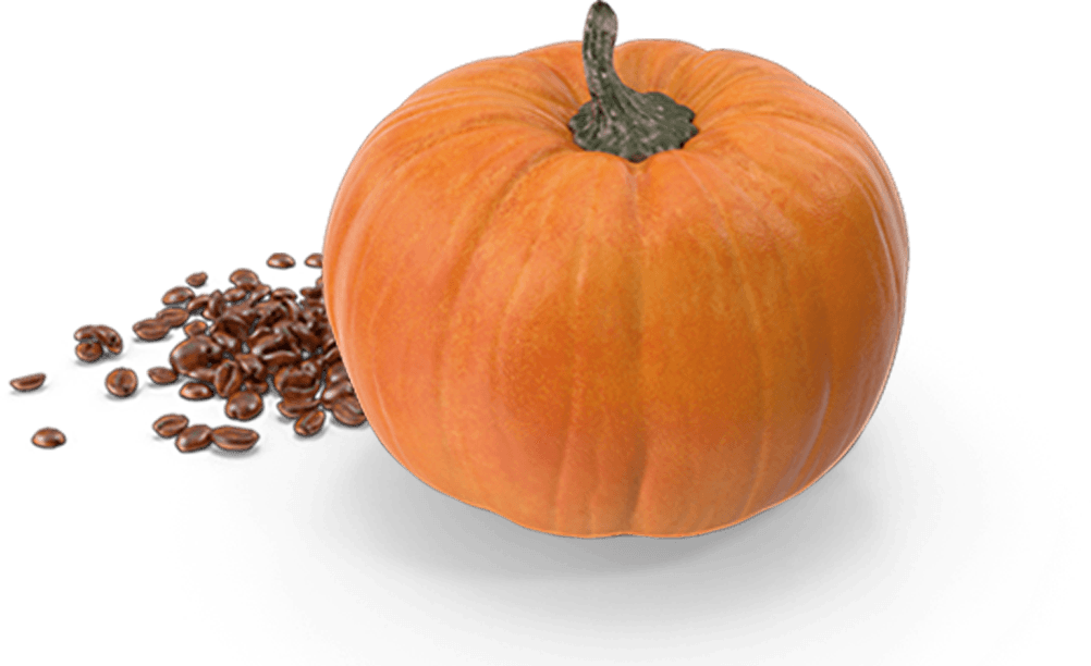 Pumpkin Spice flavored coffee
