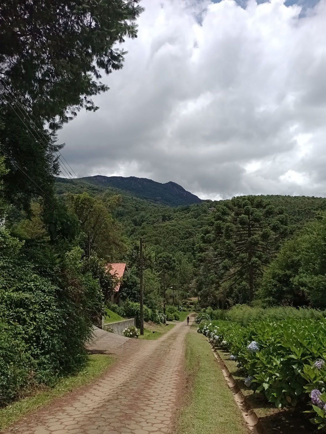 Passear à pé ou de bicicleta pelos arredores da Pousada