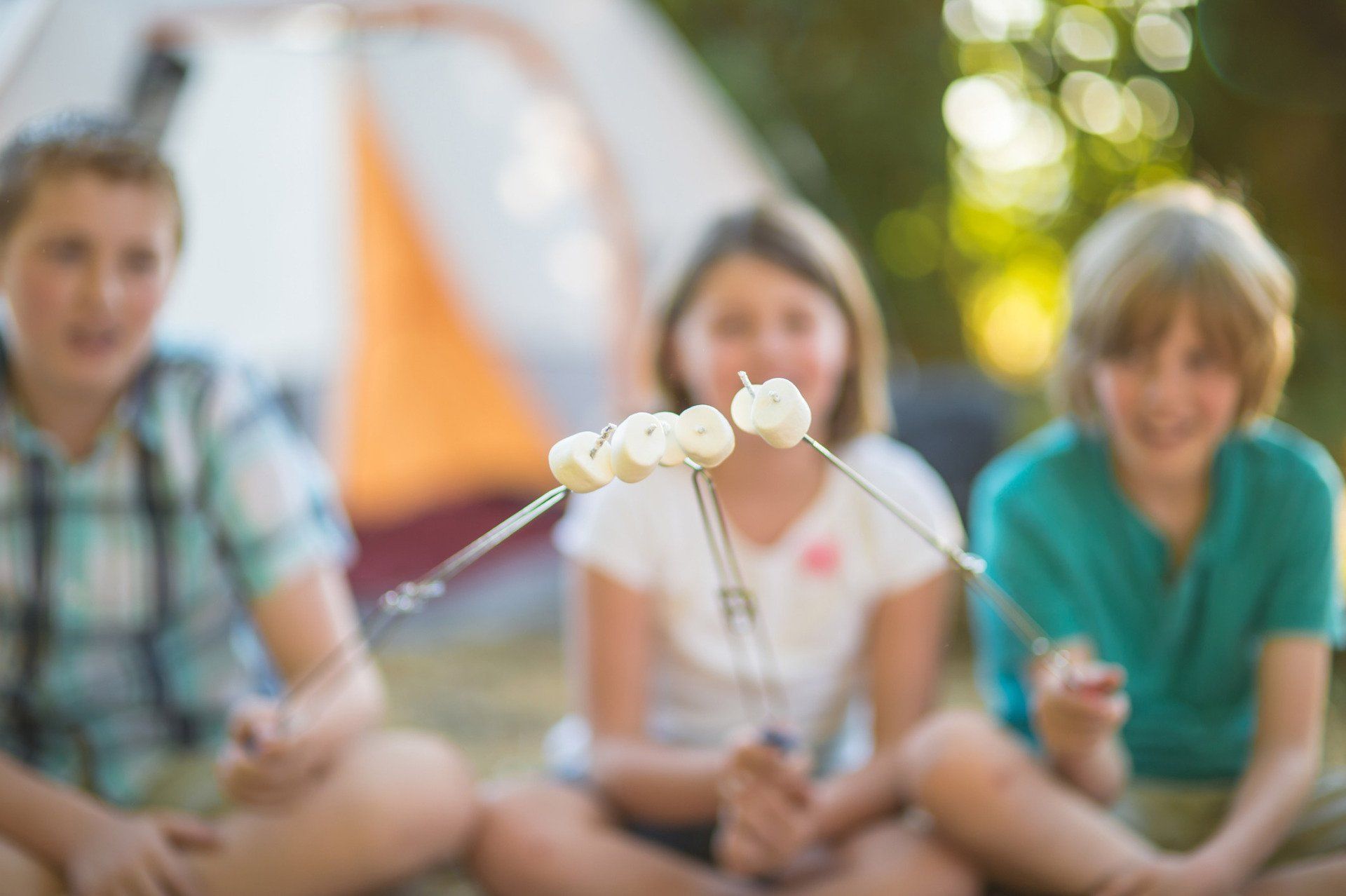 Roasting marshmallows — Sandy Creek, Upstate NY — Seeber Shores Marina & Campgrounds