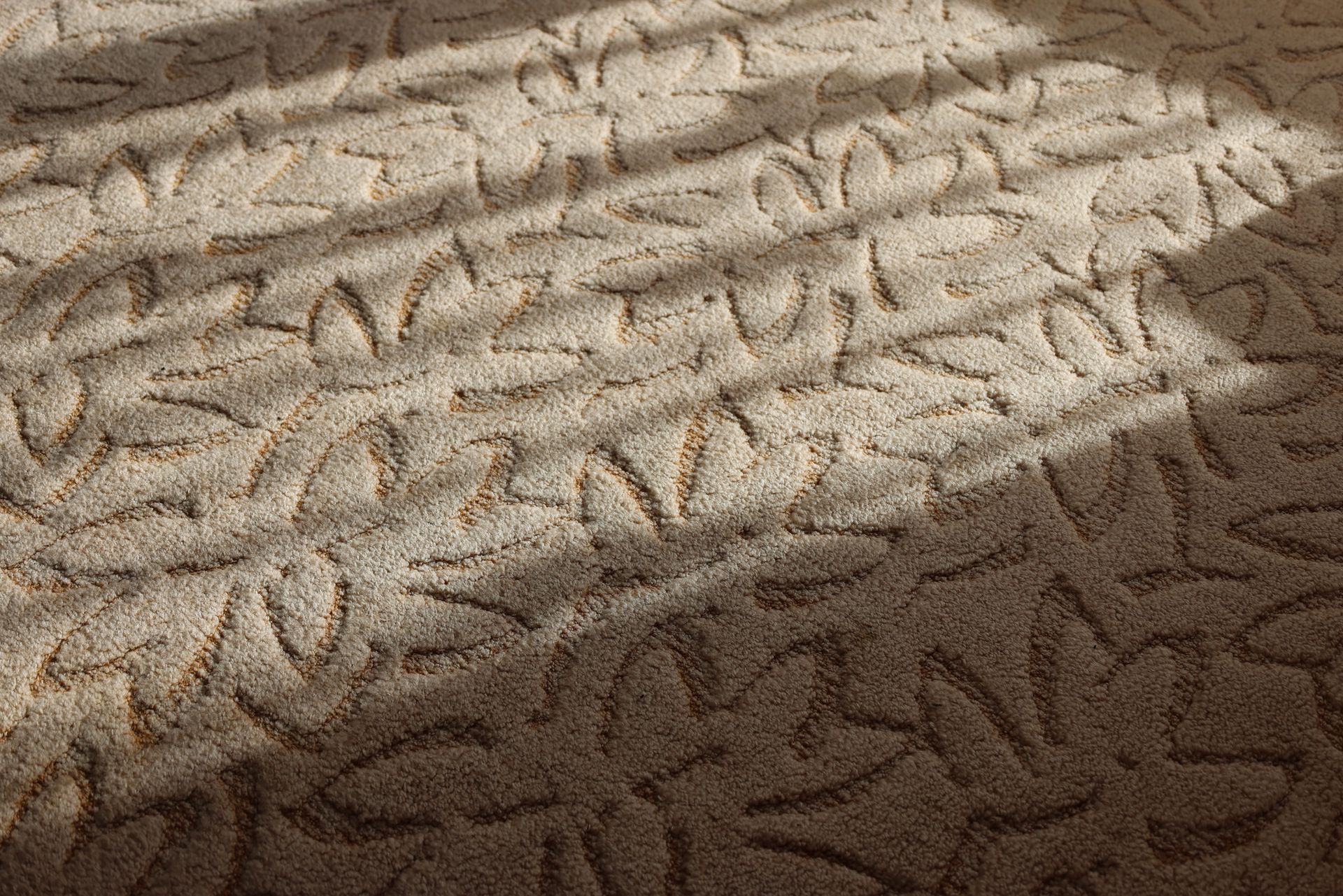 Person vacuuming a light beige rug in a bright living room with a hose and canister vacuum