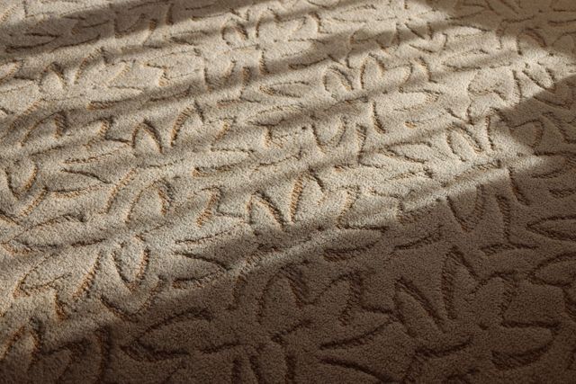 Person vacuuming a light beige rug in a bright living room with a hose and canister vacuum