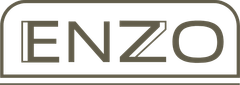 A logo for enzo is shown on a white background