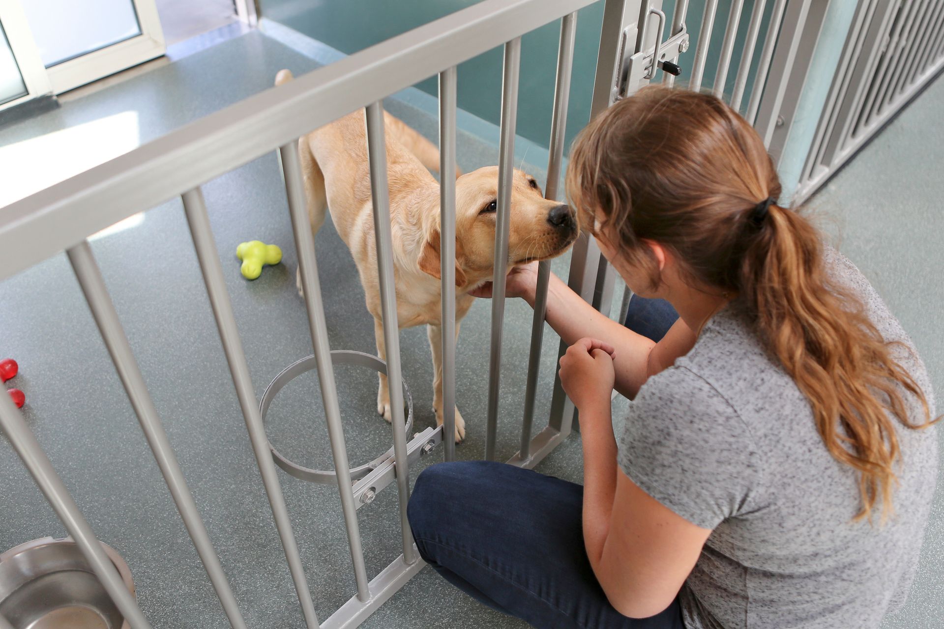 A caretaker greeting a dog through a kennel gate inside a pet boarding facility A caretaker greeting a dog through a kennel gate inside a pet boarding facility