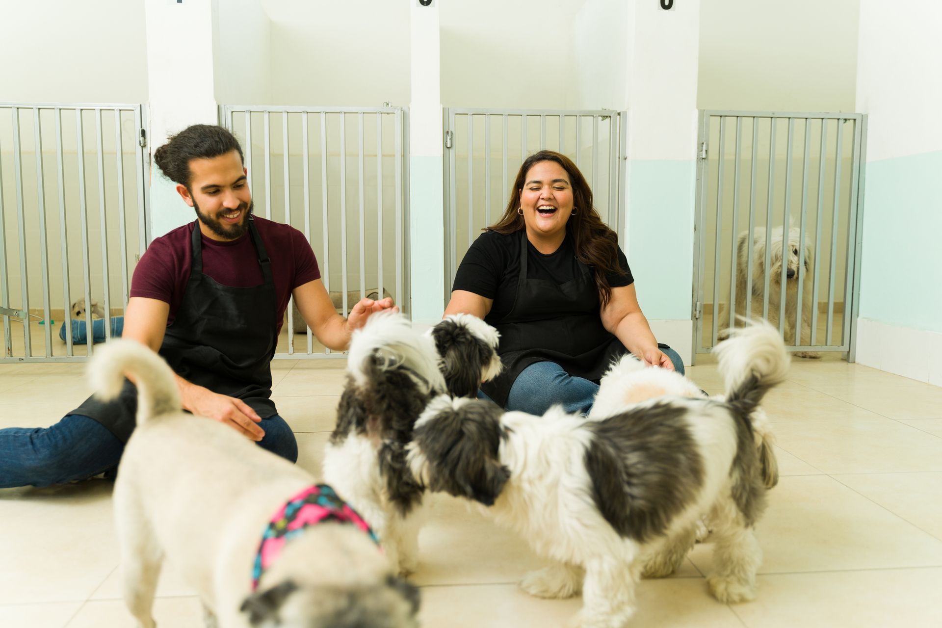 Professional Pet Care Services