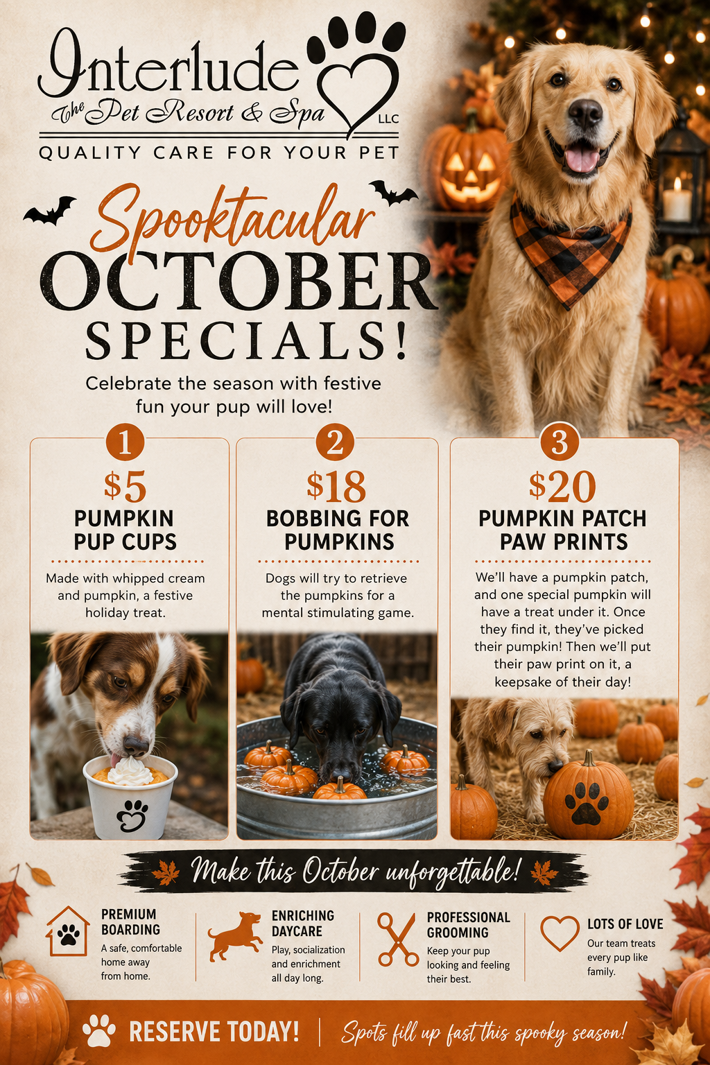 September specials flyer for dog boarding/grooming with three smiling dogs and pet treat price listings