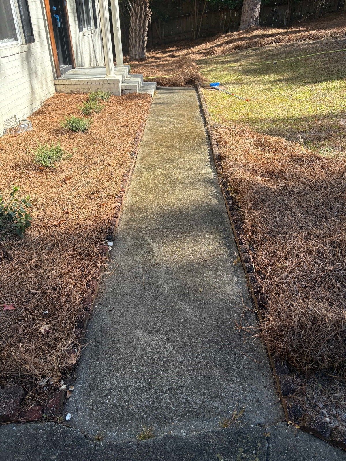 Concrete walkway beside a house, bordered by dry brown grass and pine straw.