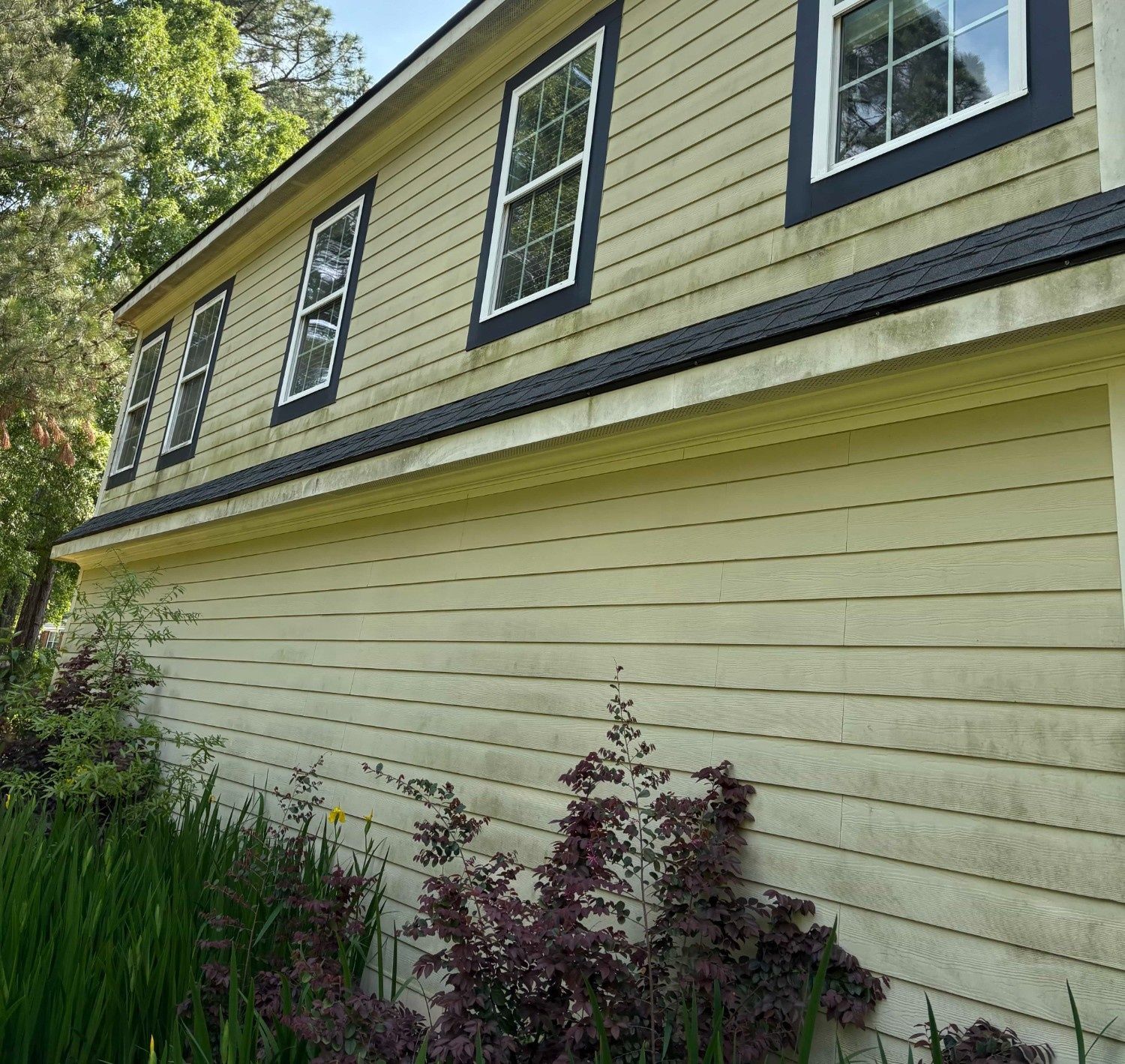 Yellow house with dark trim and white windows, viewed from the side amid garden plants.