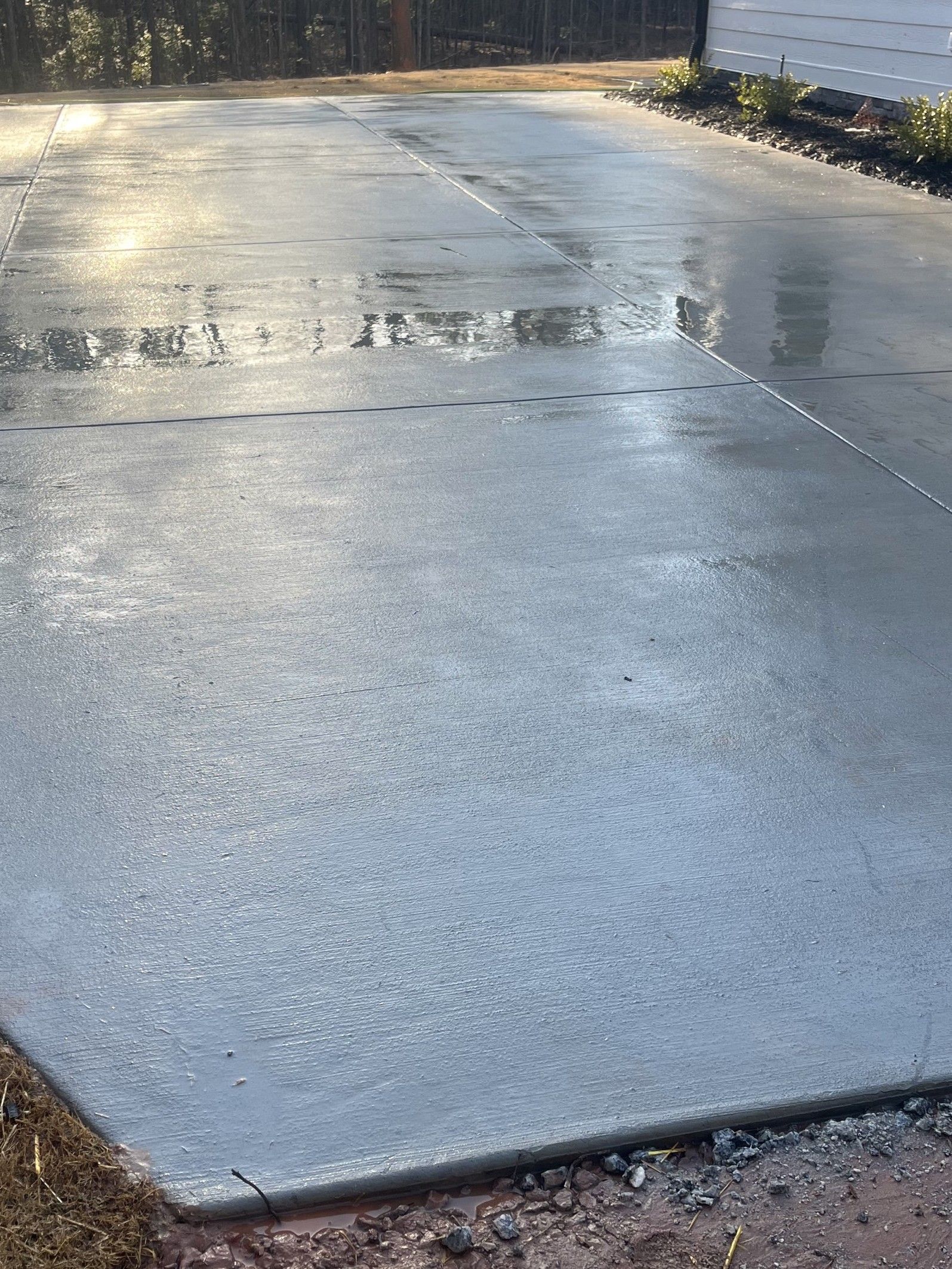 Freshly poured concrete slab outdoors with a wet, reflective surface and wooded background