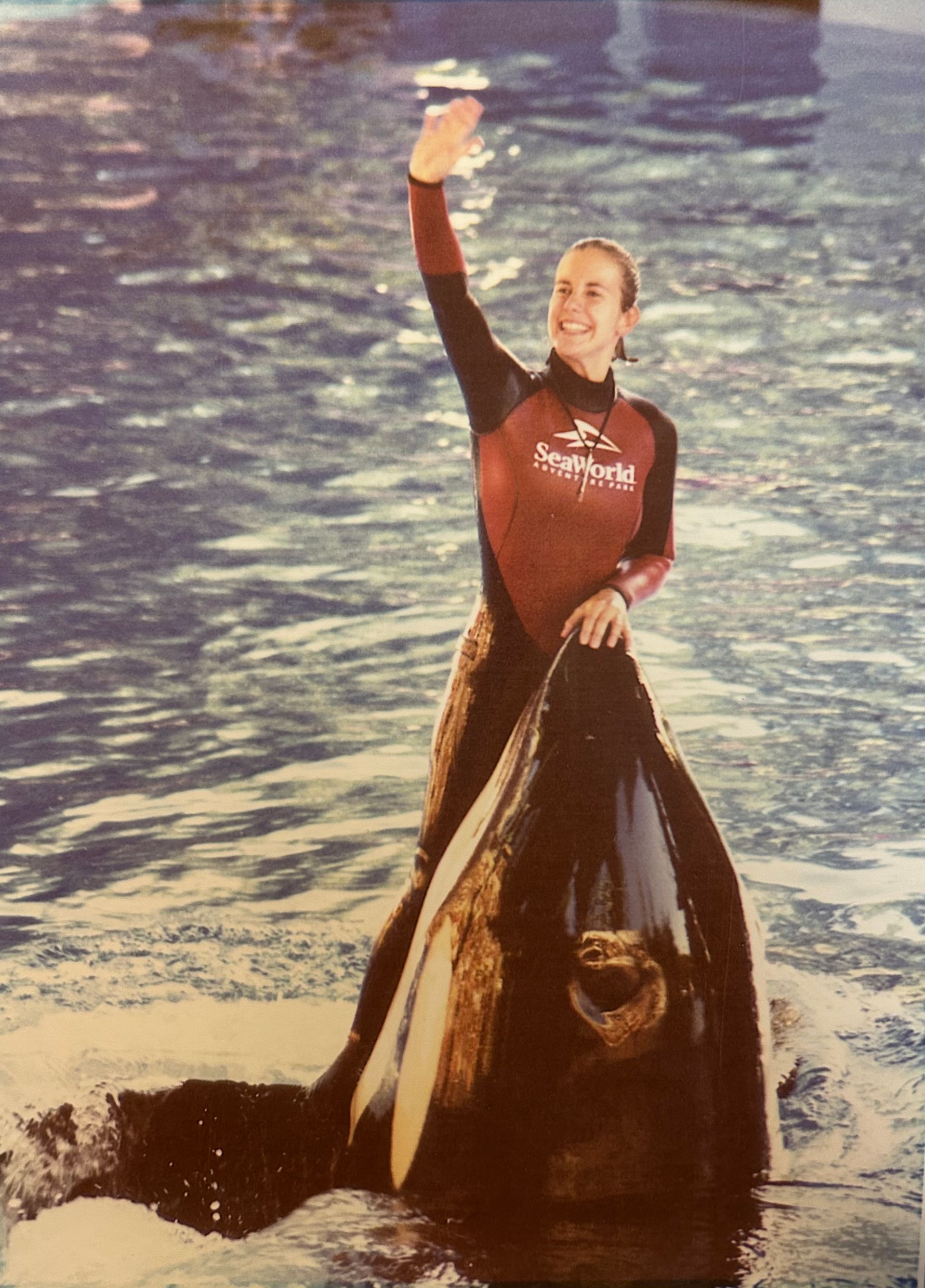 The trainer on a whale at SeaWorld.