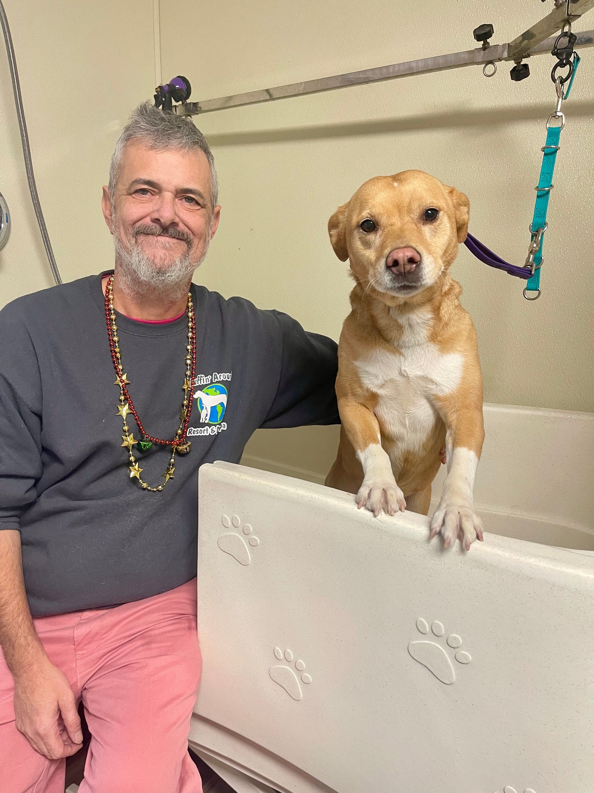 The groomer with dog in tub.