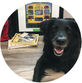 A black dog laying in front of a picture of a school bus